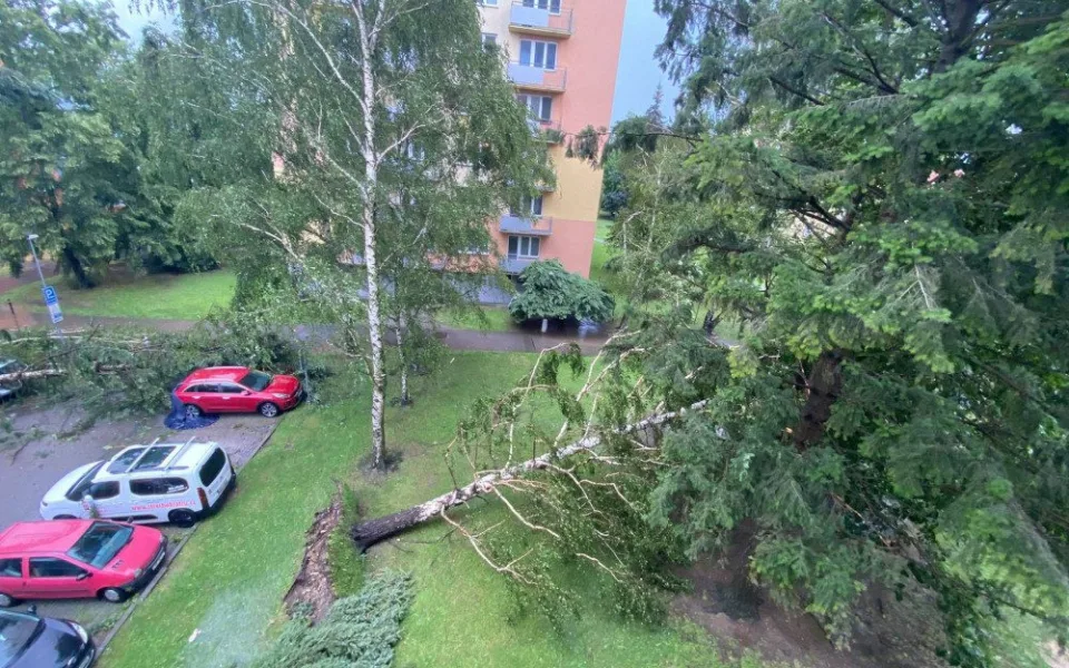 ilustrační foto.