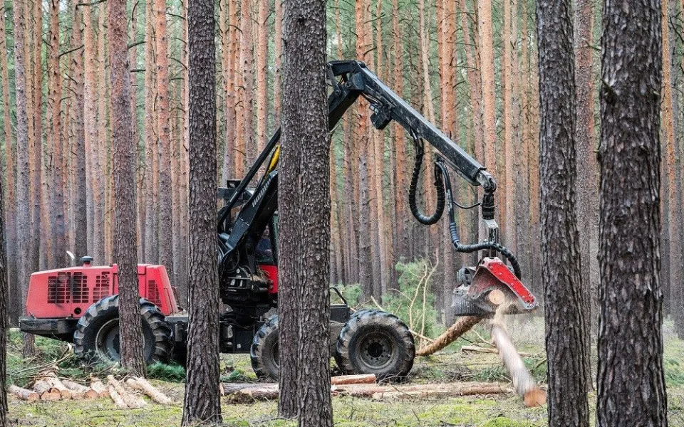 ilustrační foto.