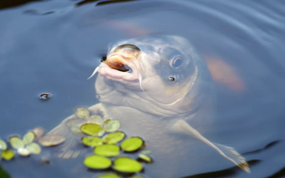 ilustrační foto.