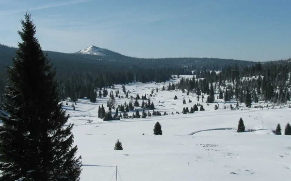 Šumava zažila třeskuté mrazy, na Březníku naměřili ráno minus 27,6 stupně.