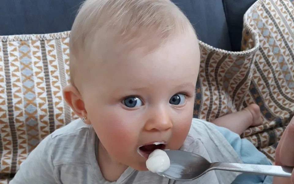 Lipánek je jako jediný bez škrobu, dusíku, želatiny a xanthanu.