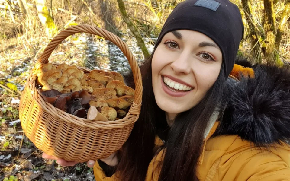 Šumavská houbička inspiruje tisíce lidí k houbařským výpravám do lesa v každém ročním období