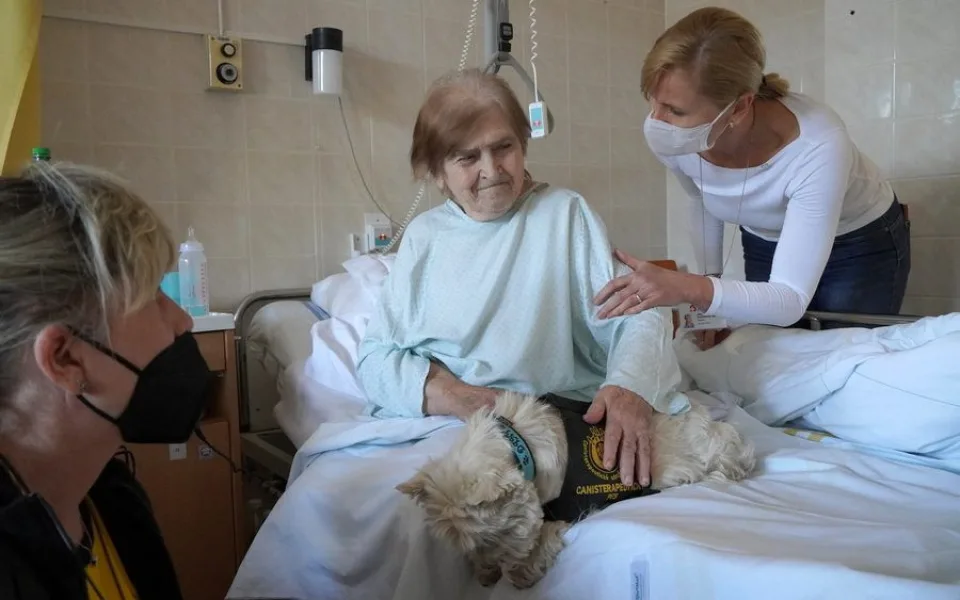 ilustrační foto.