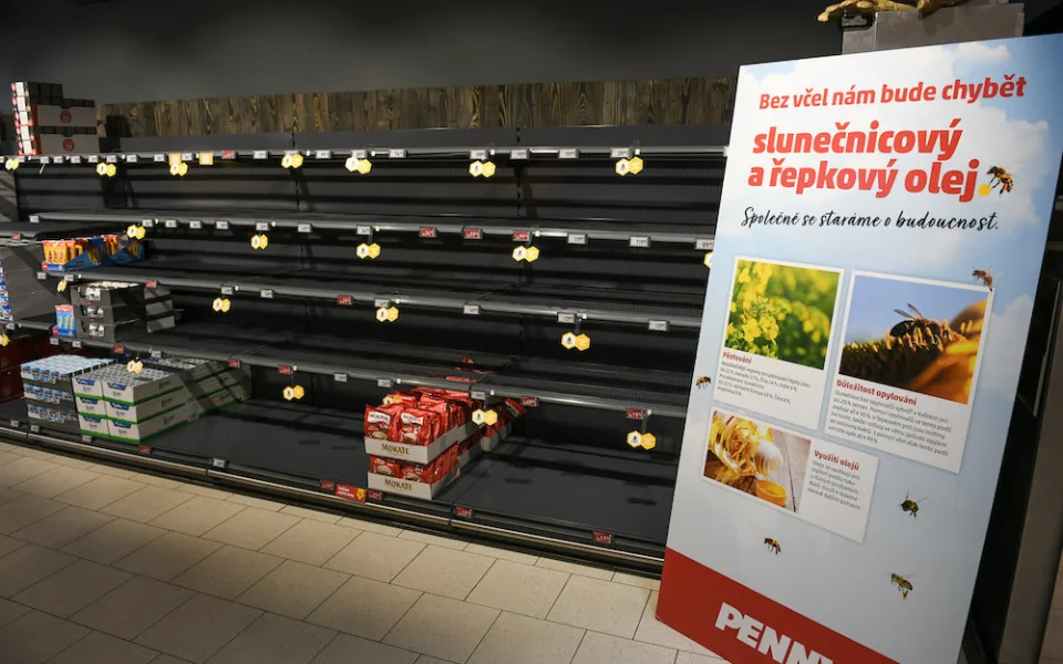 Bez včel bychom přišli o šedesát procent potravin.