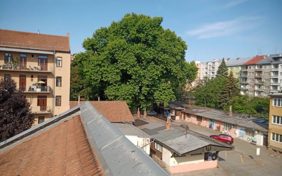 Lužánečtí jsou proti stavbě nového věžáku. Zničí stromy, říkají.