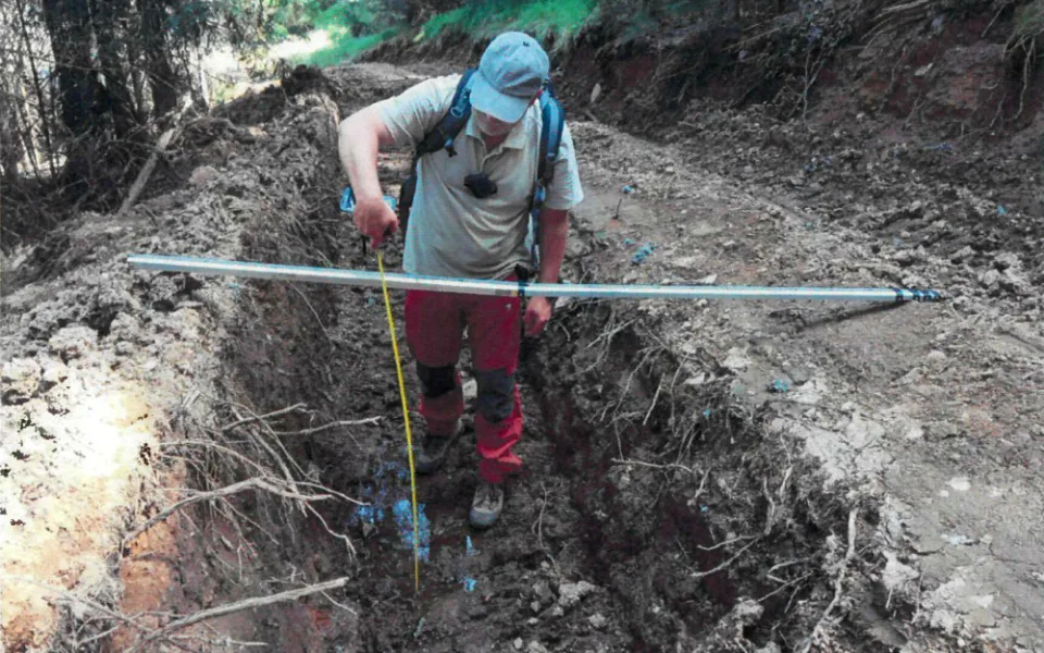 Nejhorší devastace lesů za poslední roky, kritizují spolky hospodaření v šumavském národním parku.