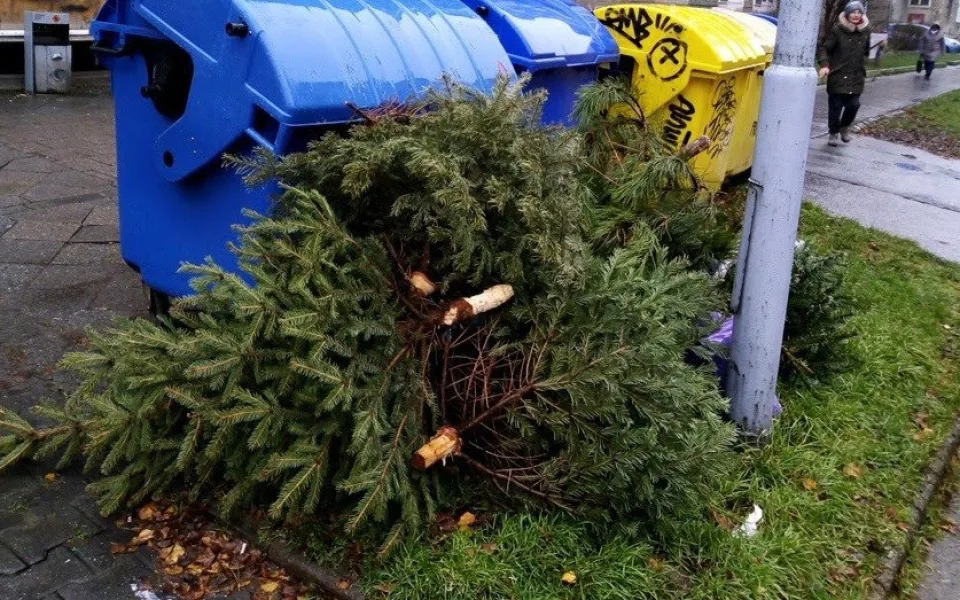 ilustrační foto.