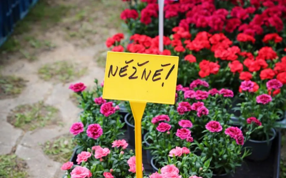 HOBBY slaví 30. narozeniny. Soutěžte s námi o dvě vstupenky