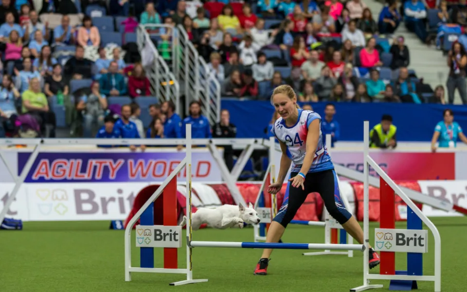 Mistrovství světa agility v Liberci se nezadržitelně blíží, vstupenky mizí.