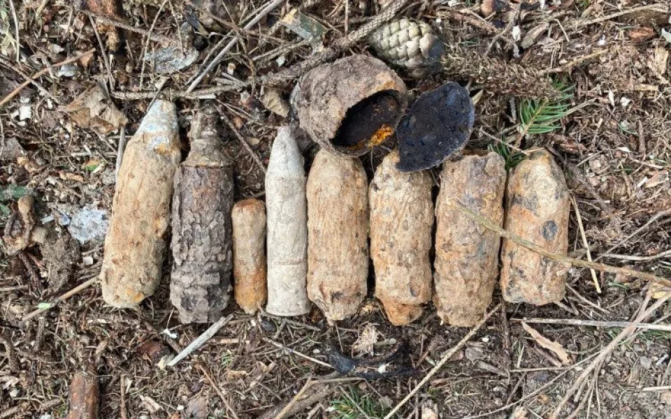 Nález munice na Havlíčkobrodsku zaměstnal pyrotechnika.