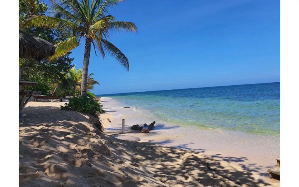 Toužíte po životě v ráji? Objevte Roatan – perlu Karibiku!