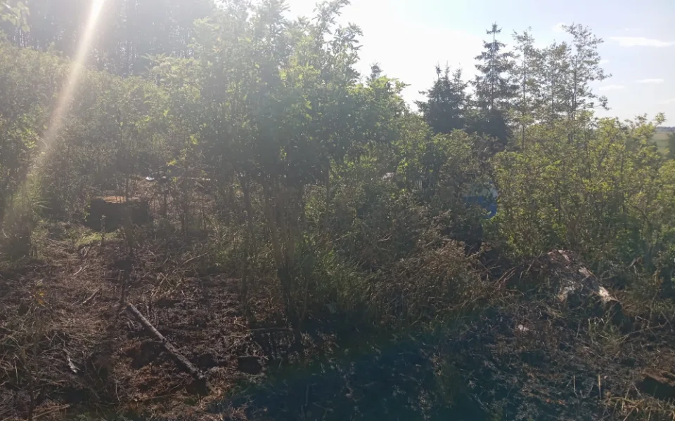 V Lukách nad Jihlavou spadlo dvoumístné letadlo, policie na místě našla mrtvého člověka