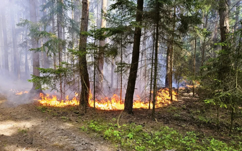 Kvůli suchu a větru hrozí od noci v části kraje nebezpečí vzniku požárů