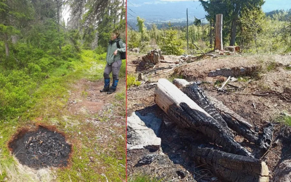 Dvě ohniště nalezená na území NP Šumava během jednoho týdne