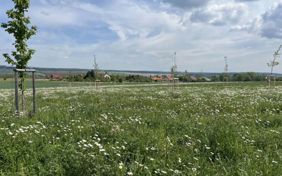 Zdiby a Mělník se nebály Norských fondů