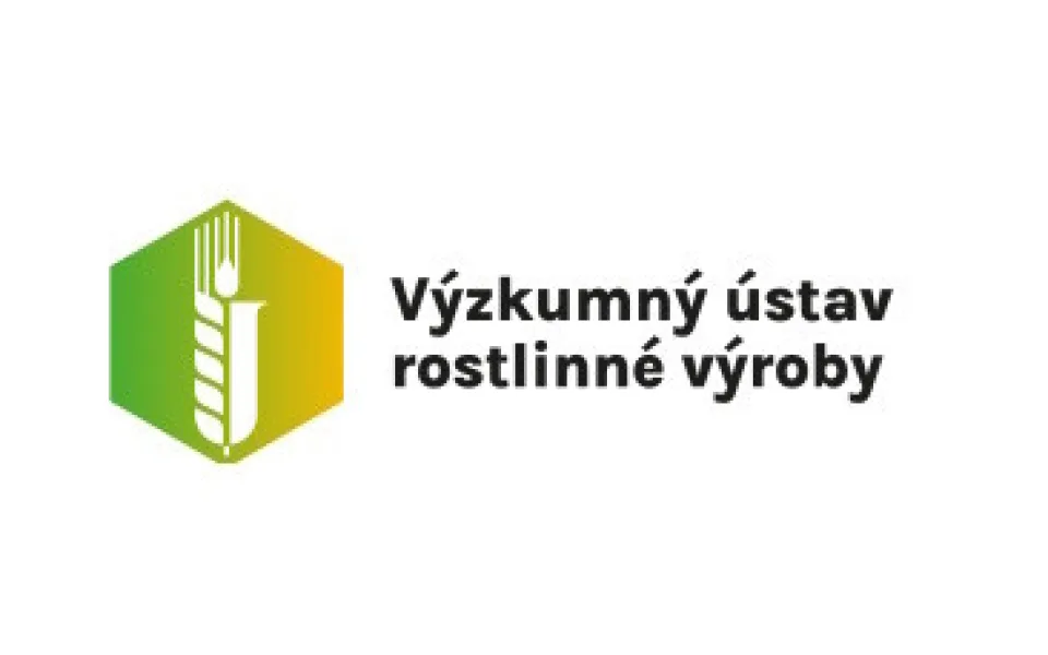 Jednička mezi miliony. Mezinárodní uznání pro Romana Pavelu