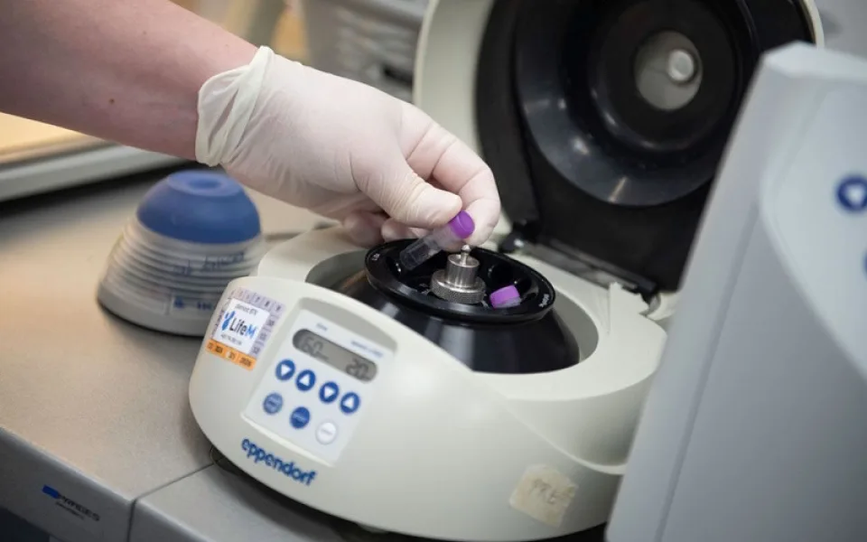 Genetické testování odhaluje rizika nádorů prsu či vaječníků
