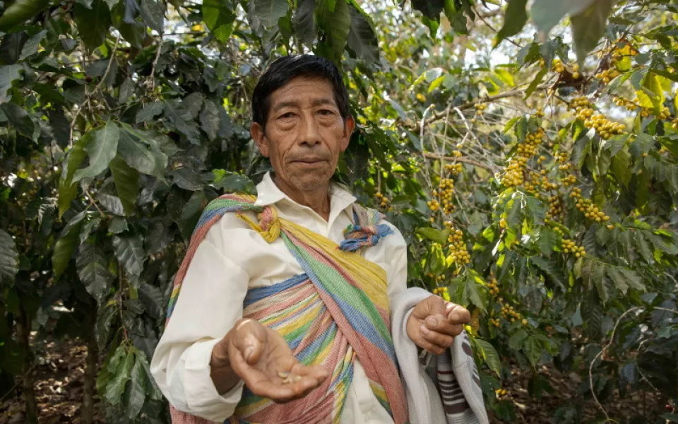 Za 20 let působení Fairtrade Česko a Slovensko získali pěstitelé díky prodeji fairtradového zboží 200 milionů Kč na rozvoj komunit