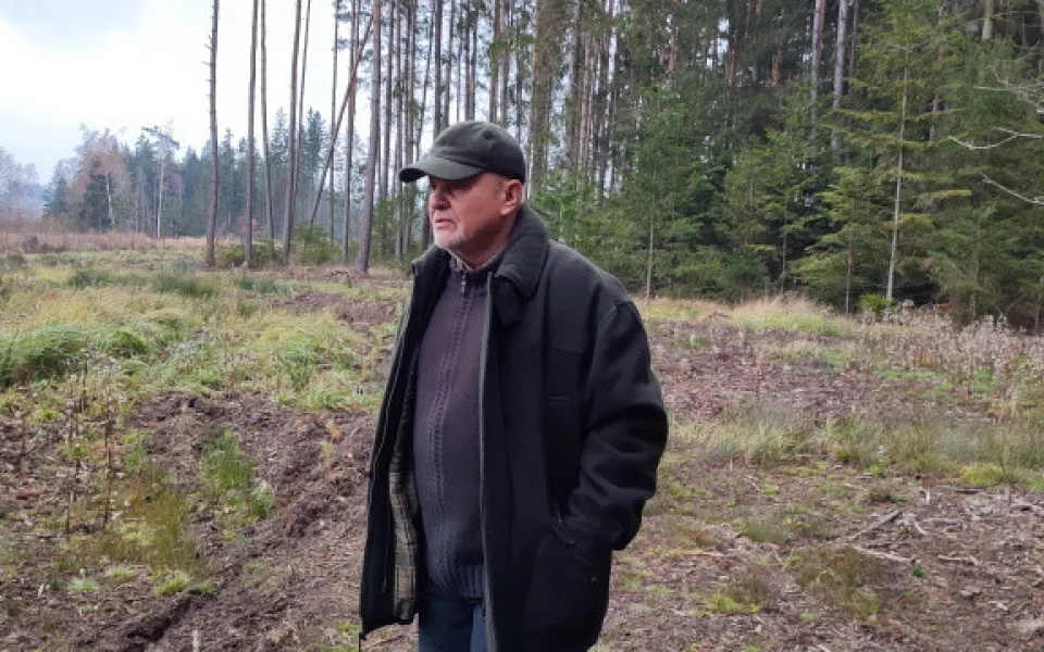 V Česku chybí podpora drobných vlastníků lesa: dobrovolné spolky by pomohly chránit lesy jako “rodinné stříbro”