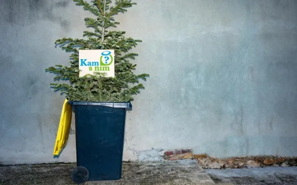 Kam s vánočním stromkem? Průvodce ekologickou likvidací
