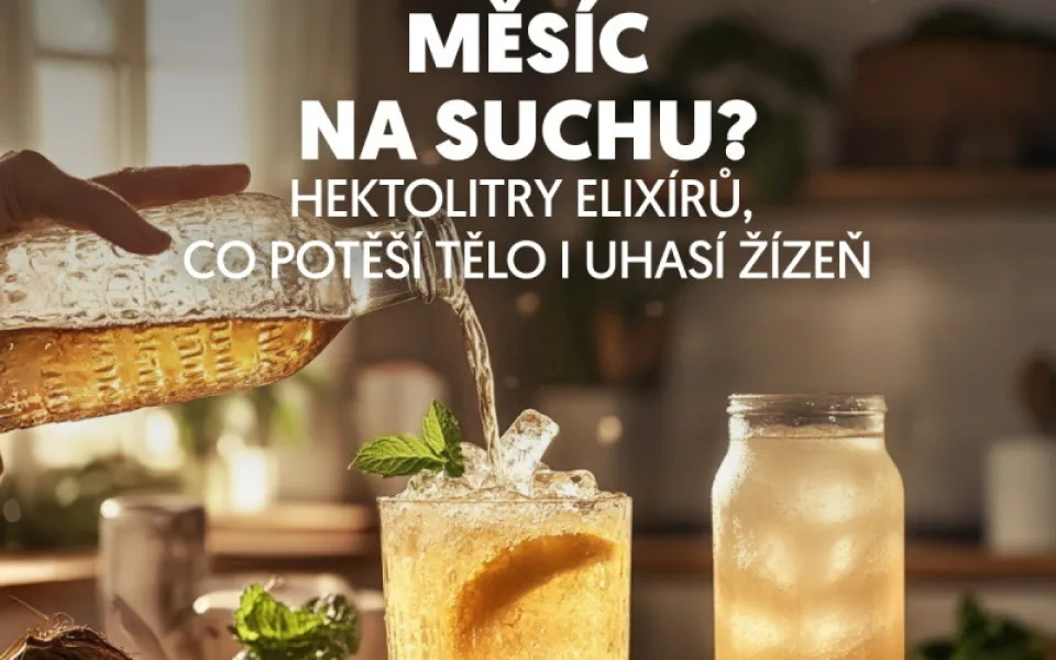 Suchý únor? To není pro Rohlík žádný problém! Češi si oblíbili nealko vína, prémiové limonády i fermentované elixíry