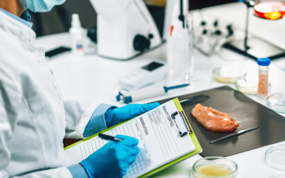 Nejvyšší úroveň certifikátu bezpečnosti potravin pro EU Poultry s.r.o.