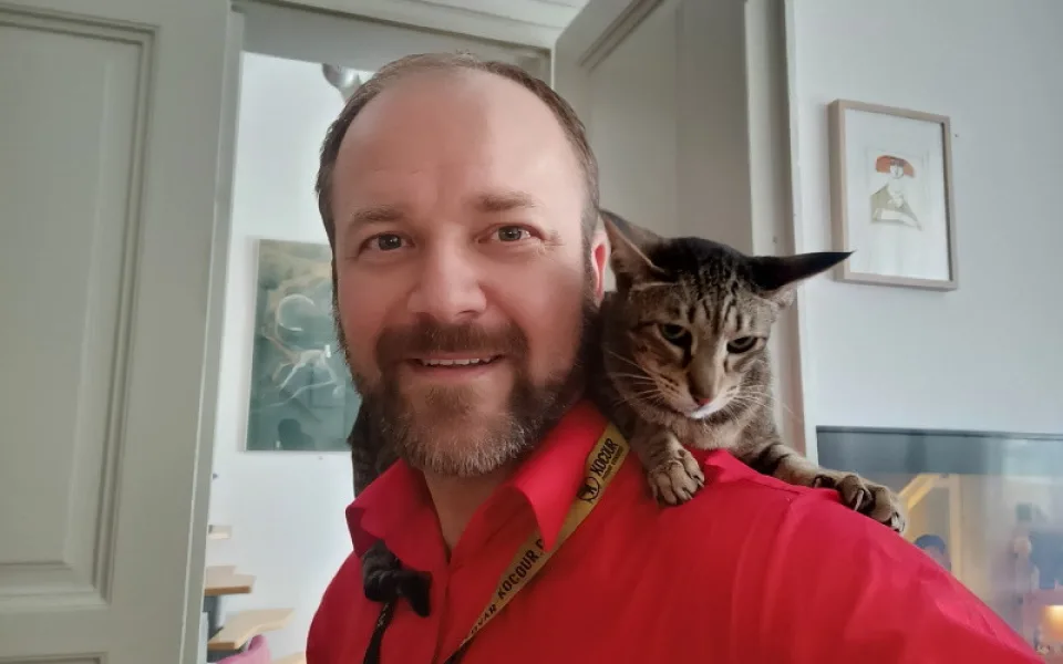 Léčba kočkou? Tři ze čtyř Čechů o felinoterapii nikdy neslyšeli, přesto vzbuzuje zájem