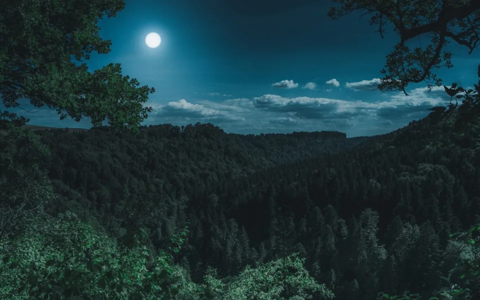 Ilustrační foto. Foto: pixabay.com
