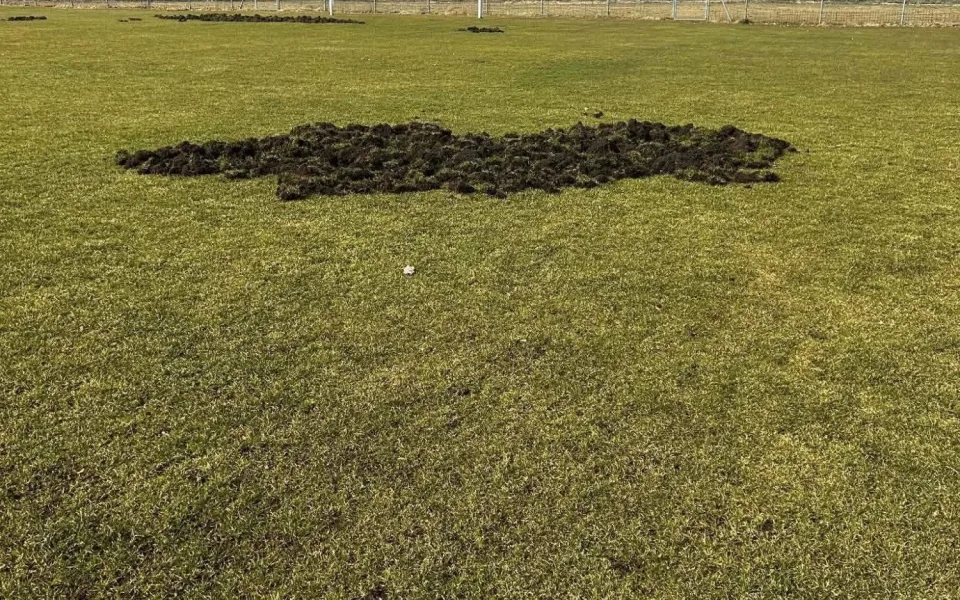 Fotbalové hřiště nebo oraniště? Pažit ve Větřní rozryla divoká prasata