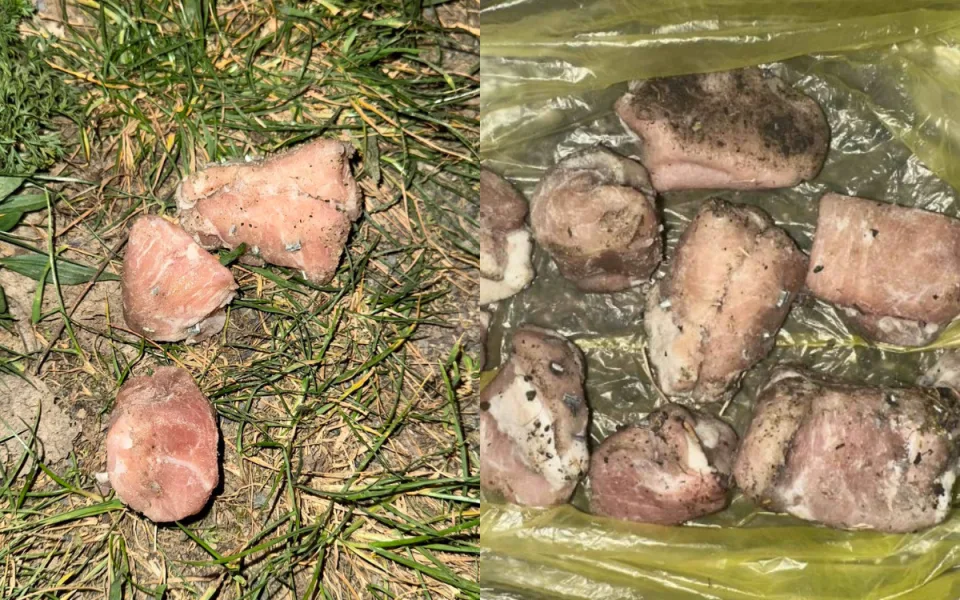 Celkem se našlo asi 15 kusů nástrah