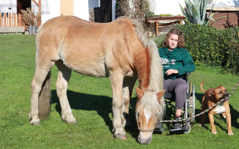 Kája nešťastně spadla z koně a ochrnula, pomoci se jí snaží divadelní ochotníci