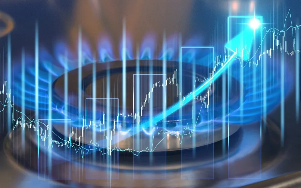 Kolísání cen energií sílí. Jak se v nejisté době rozhodovat o vytápění?