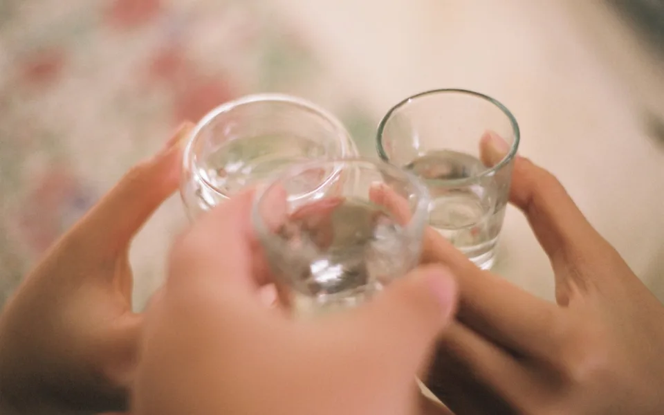 Mladík na Pelhřimovsku dostal od nezletilých dívek peníze a koupil jim láhev vodky