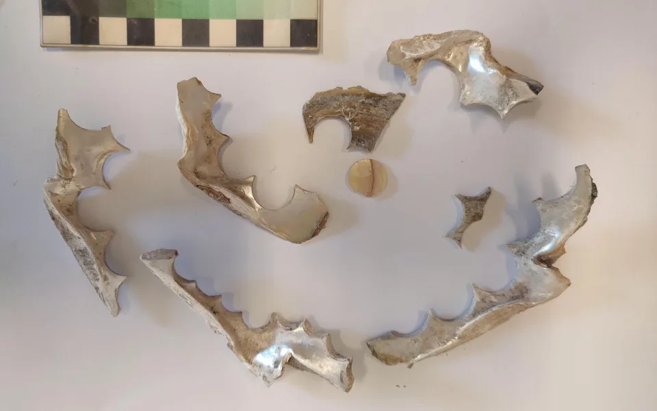 Archeologové v Židenicích narazili na stopy po staré výrobně knoflíků