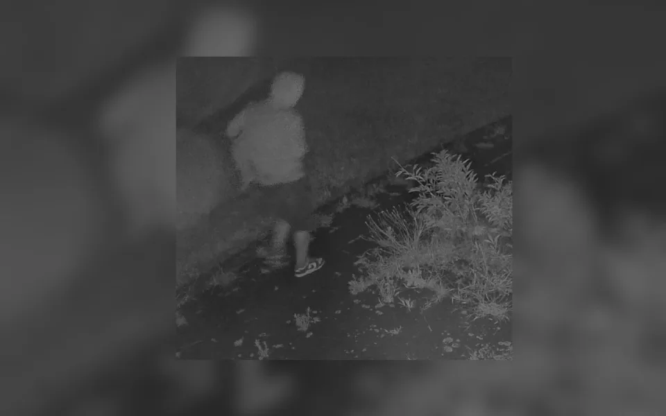 Do bytovky v Jihlavě se pokusil vloupat zloděj. Poznáte člověka na fotografii?