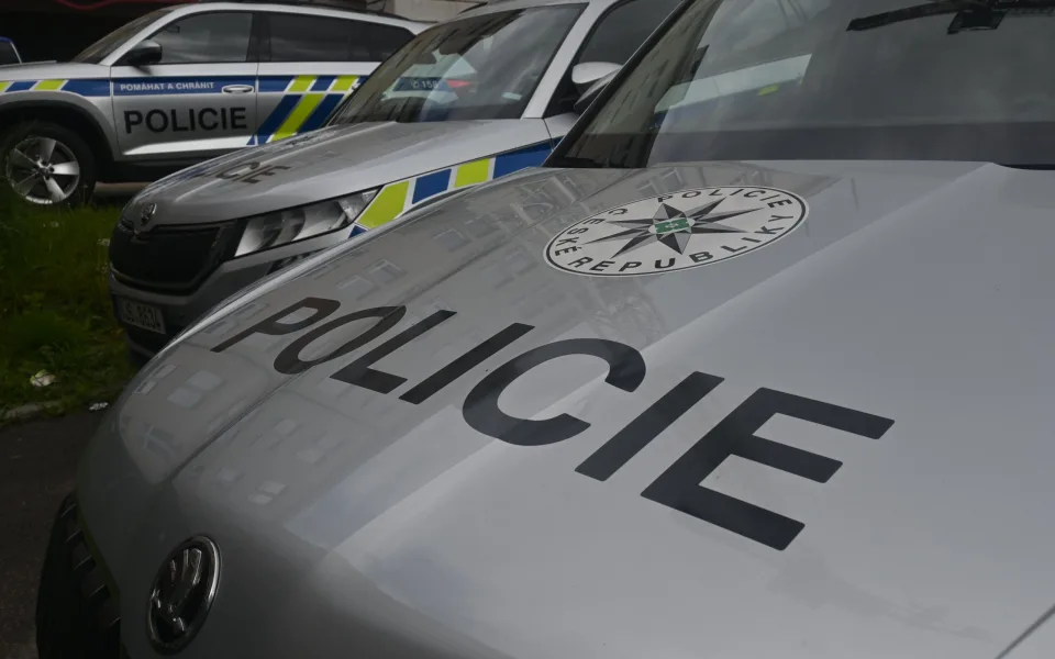 Muže z Karlovarska, který podle policie napadl svou ženu, poslal soud do vazby