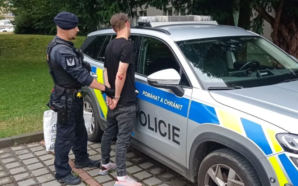 Recidivista se po propuštění z vězení vrátil ke krádežím, v Jihlavě vzal lego