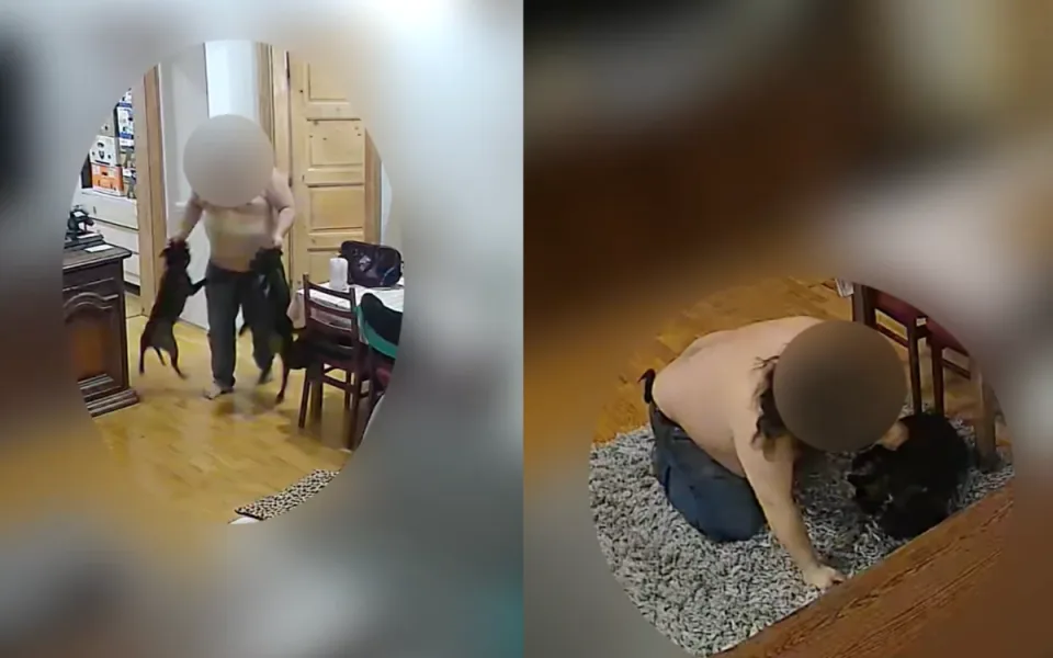 Týral syna, partnerku i psy. Policie zveřejnila otřesné video chování násilníka