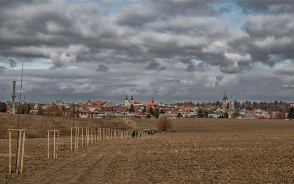 Alej svobody: Lidé v Jihlavě vysází 90 nových stromů. Připomenou Václava Havla