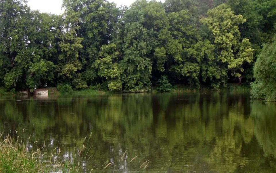 Oborský rybník má zhoršenou kvalitu vody kvůli sinicím, sezona postupně končí